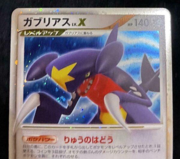 garchomplvlx2